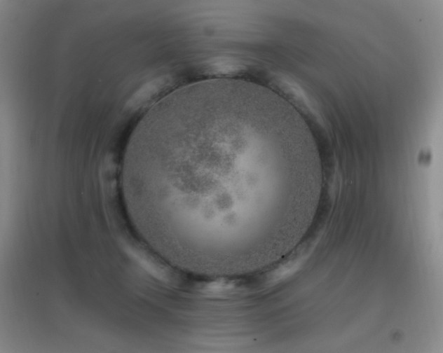 X0000096730366200802051446