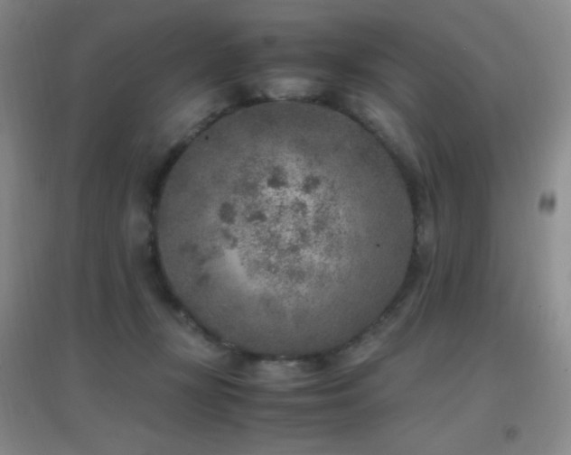X0000096730367200802051446