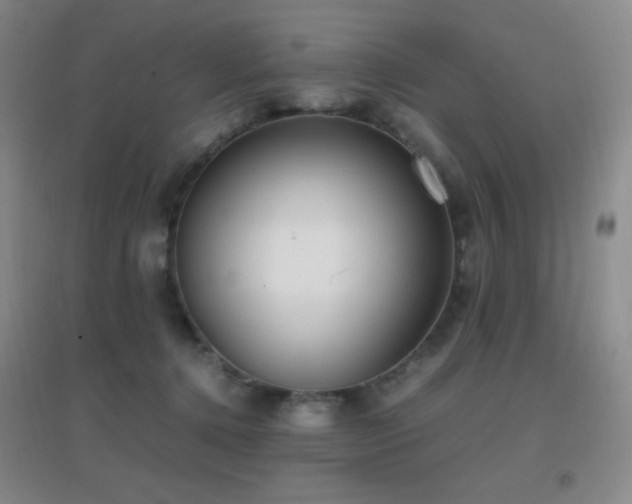 X0000096730368200802051446