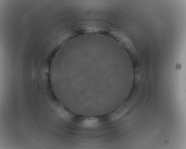 X0000096730369200802051446
