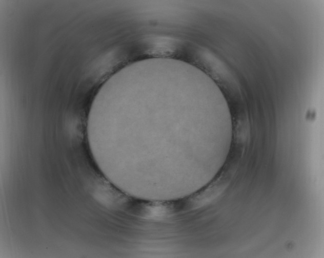 X0000096730370200802051446