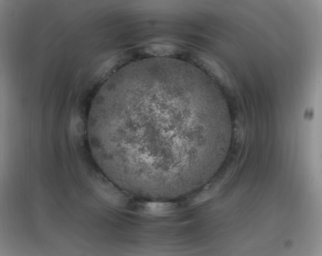 X0000096730371200802051446
