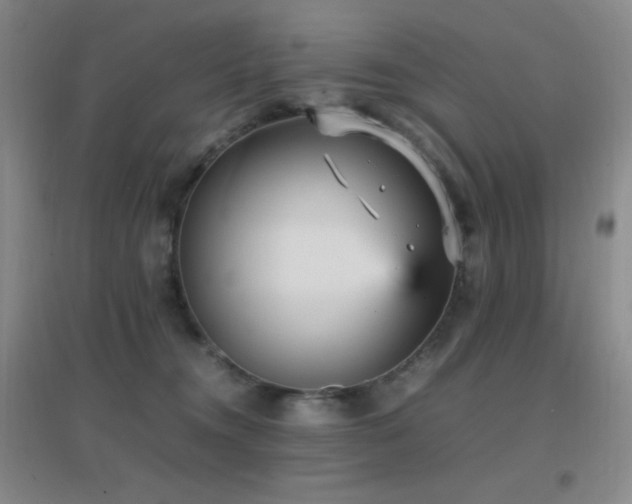 X0000096730372200802051446