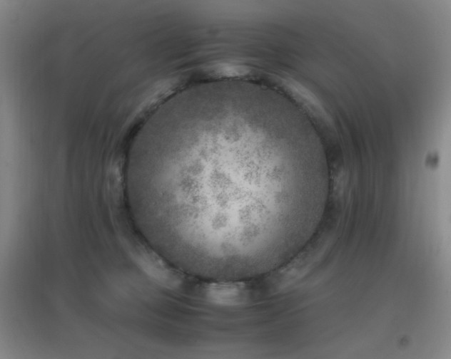 X0000096730373200802051446