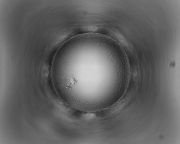X0000096730374200802051446