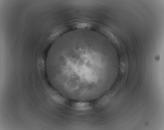 X0000096730375200802051446