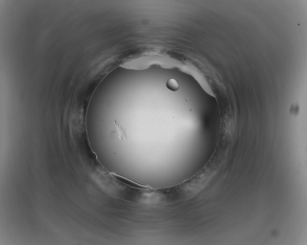 X0000096730376200802051446