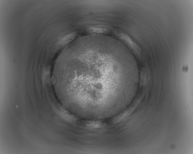 X0000096730377200802051446