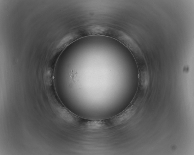 X0000096730378200802051446