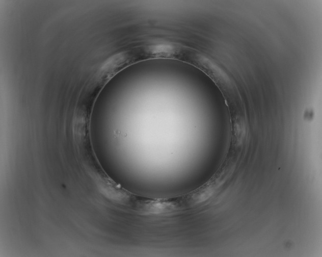X0000096730379200802051446
