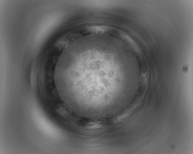 X0000096730381200802051446