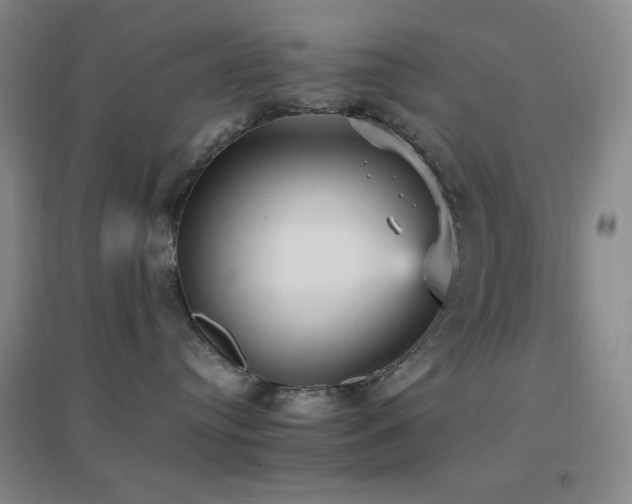 X0000096730384200802051446