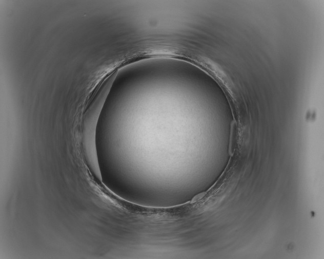 X0000096730385200802051445