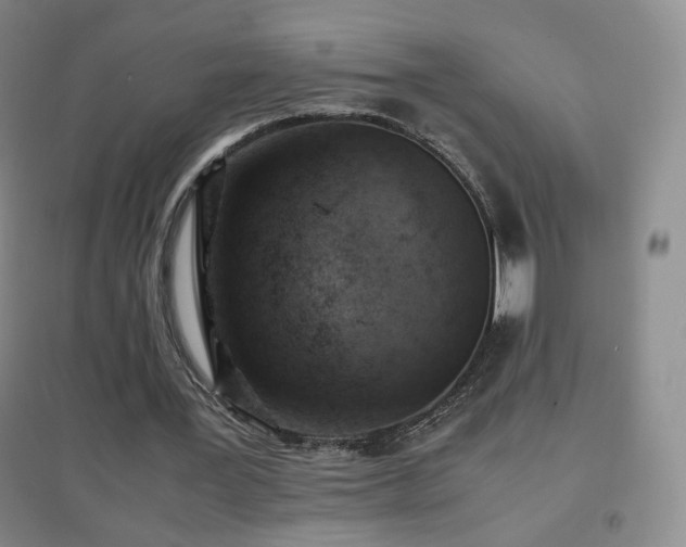 X0000096730387200802051445
