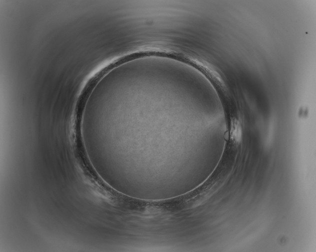 X0000096730388200802051445