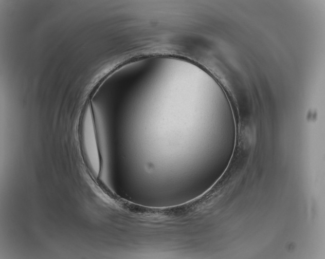 X0000096730389200802051445