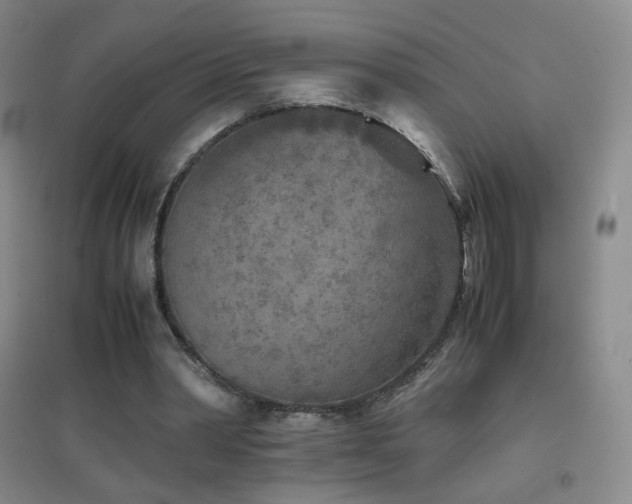 X0000096730390200802051445
