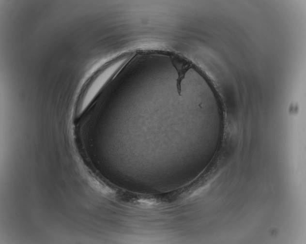 X0000096730391200802051445