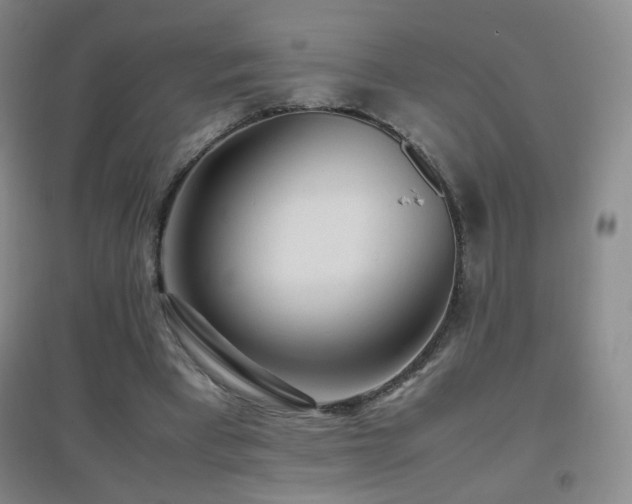 X0000096730393200802051445