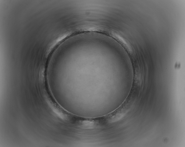X0000096730394200802051445