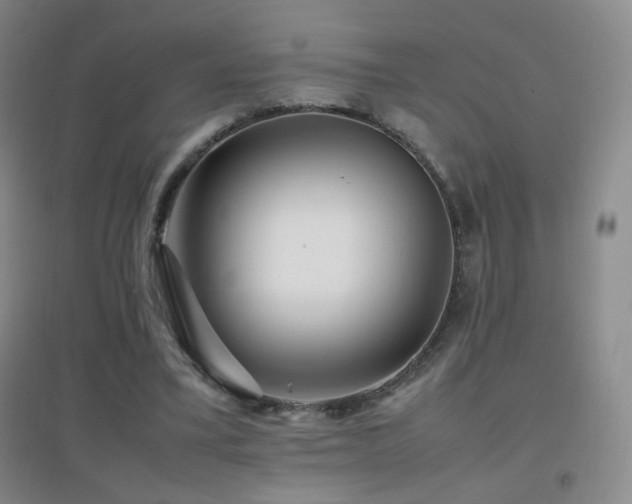 X0000096730395200802051445