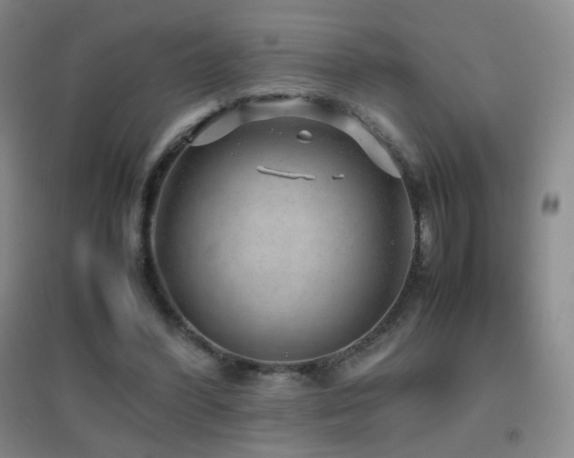 X0000096730396200802051445