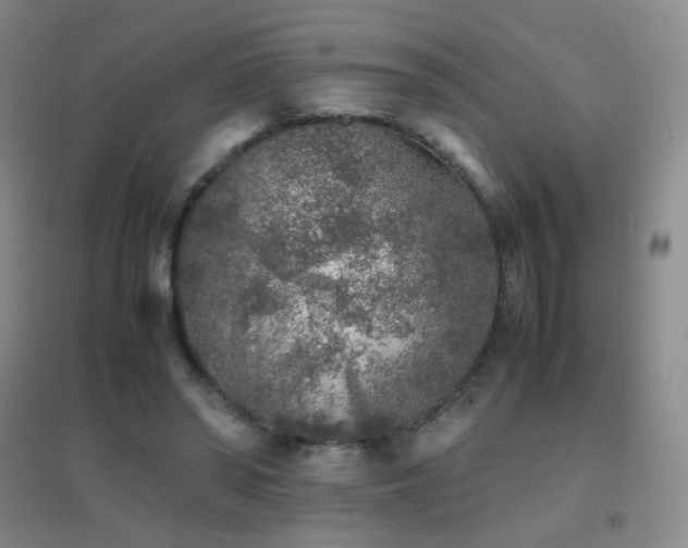 X0000096730398200802051445