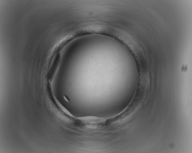 X0000096730399200802051445