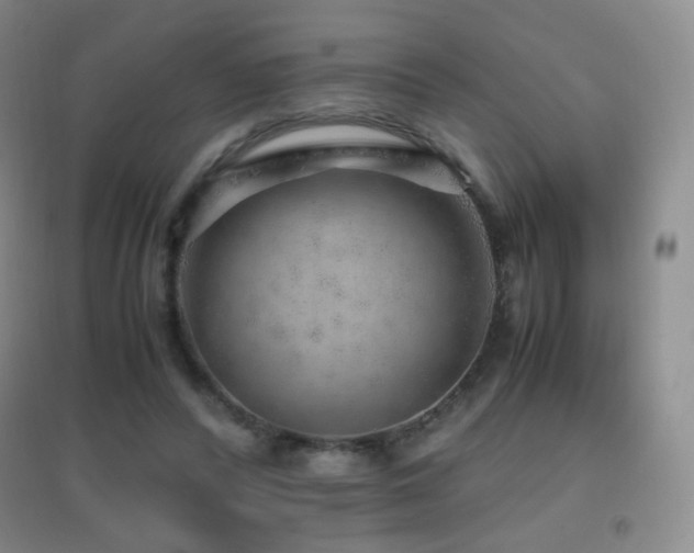 X0000096730400200802051445