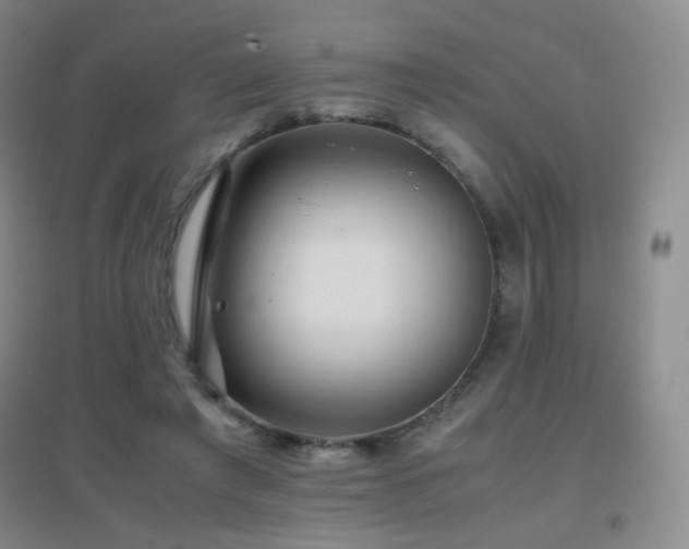 X0000096730401200802051445