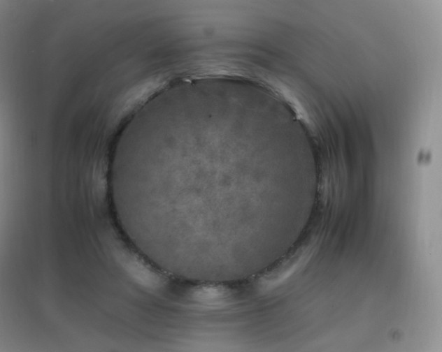 X0000096730402200802051445