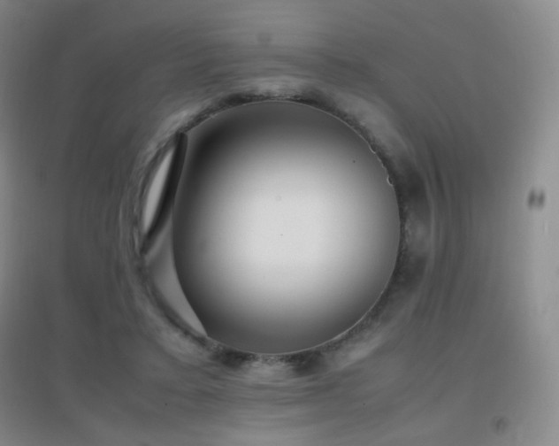 X0000096730403200802051445