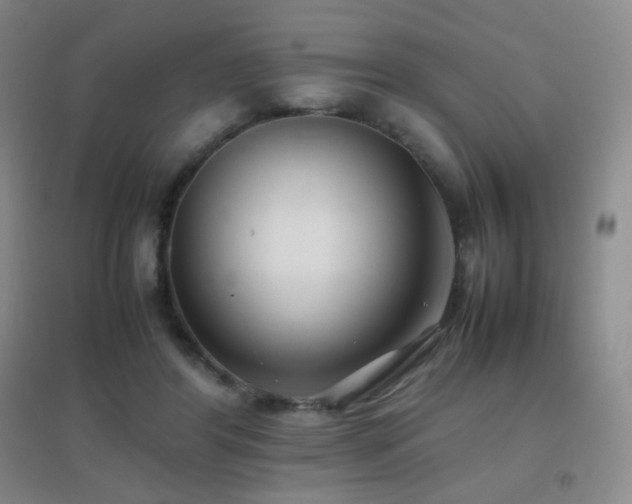 X0000096730404200802051445