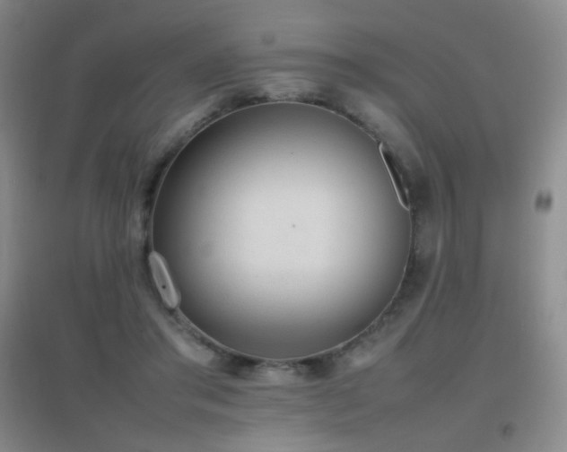 X0000096730405200802051445