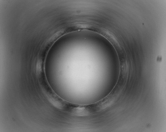 X0000096730406200802051445