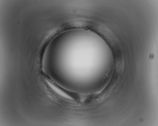X0000096730407200802051445