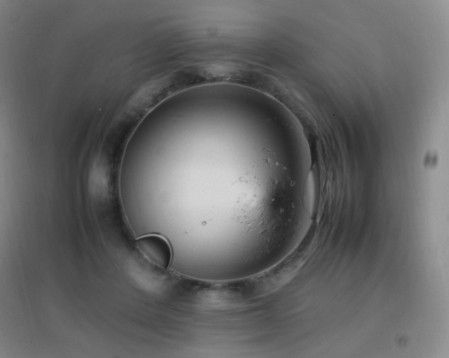 X0000096730408200802051445