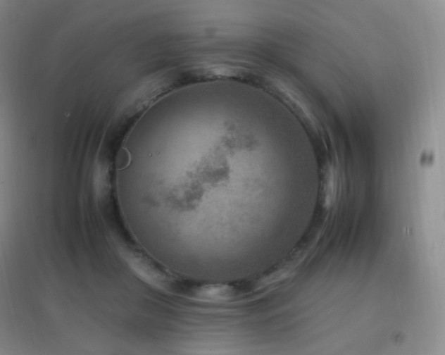 X0000096730410200802051445