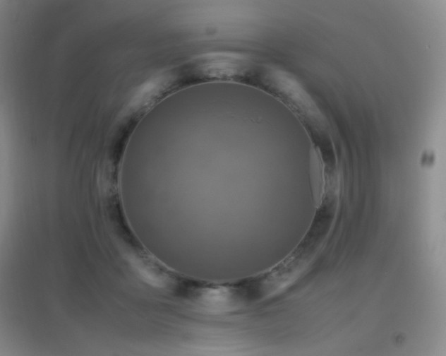 X0000096730411200802051445