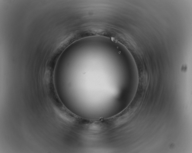 X0000096730412200802051445