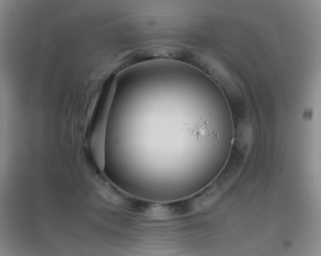 X0000096730413200802051445