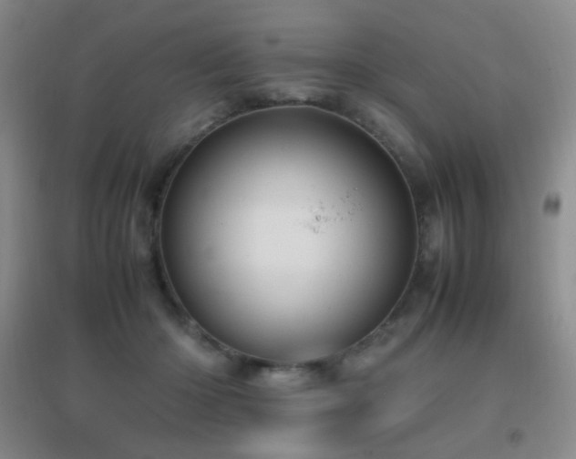 X0000096730414200802051445