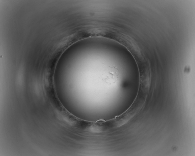 X0000096730416200802051445