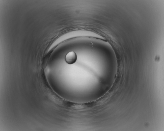X0000096730417200802051445