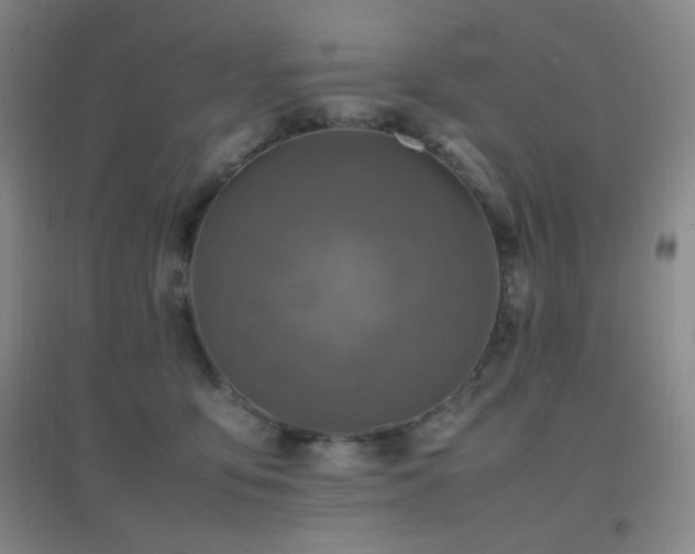 X0000096730419200802051445