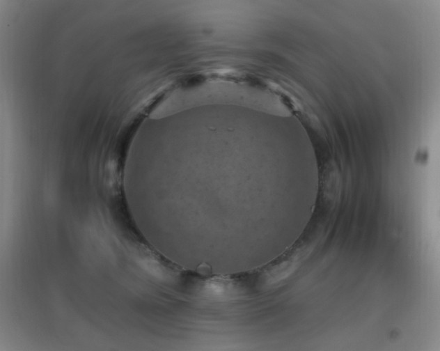 X0000096730420200802051445