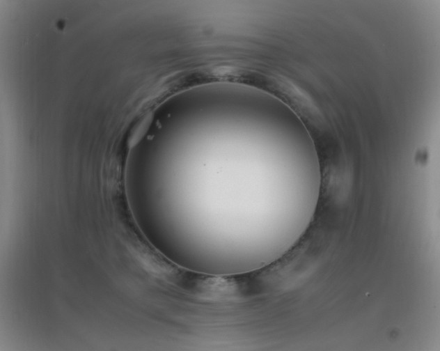 X0000096730421200802051445