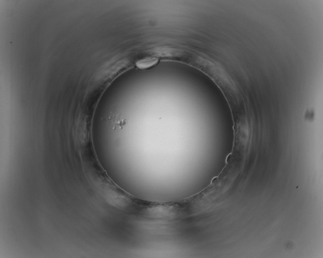 X0000096730422200802051445