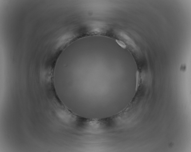 X0000096730423200802051445