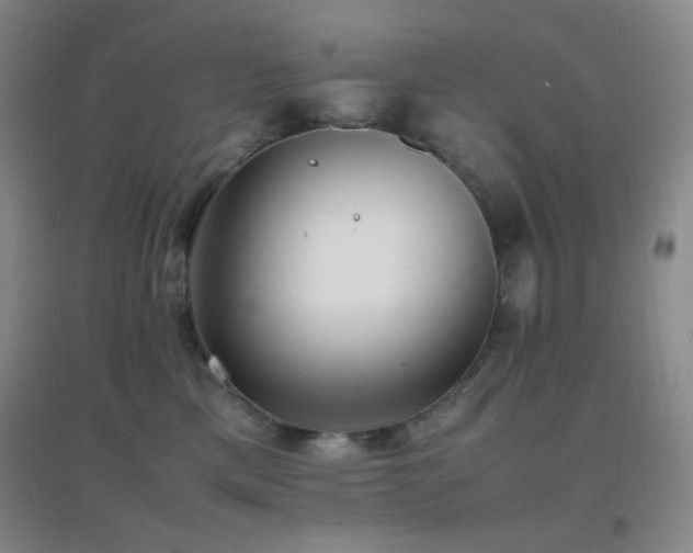 X0000096730425200802051445